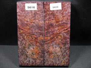 Stabilized Double Dyed Box Elder Scales SW5616