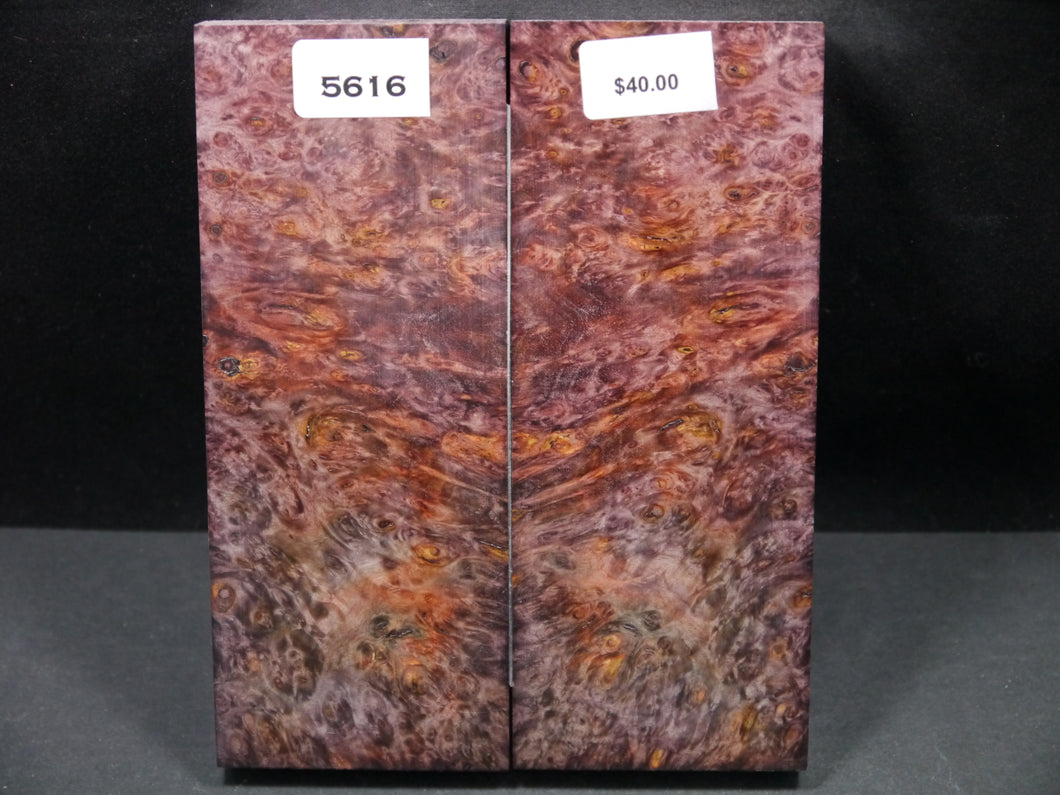 Stabilized Double Dyed Box Elder Scales SW5616