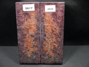 Stabilized Double Dyed Box Elder Scales SW5617