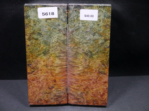 Stabilized Double Dyed Box Elder Scales SW5618