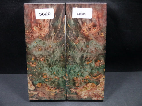 Stabilized Double Dyed Box Elder Scales SW5620