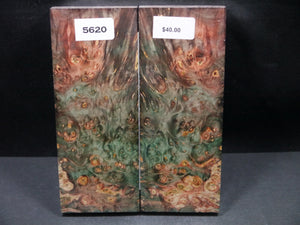 Stabilized Double Dyed Box Elder Scales SW5620