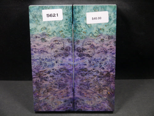 Stabilized Double Dyed Box Elder Scales SW5621