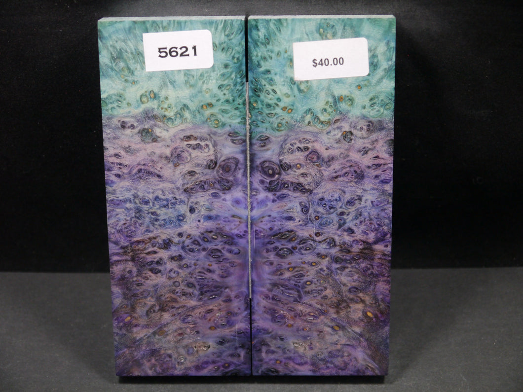 Stabilized Double Dyed Box Elder Scales SW5621