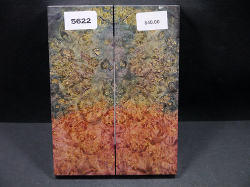 Stabilized Double Dyed Box Elder Scales SW5622