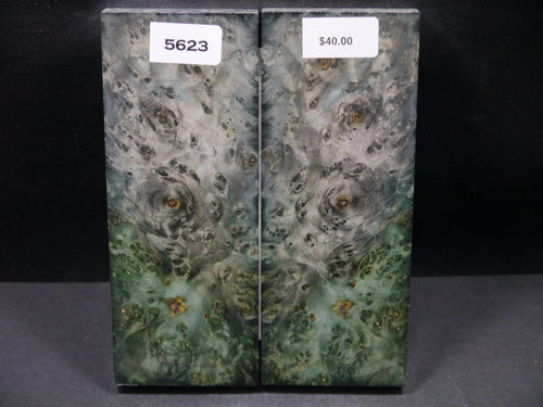 Stabilized Double Dyed Box Elder Scales SW5623