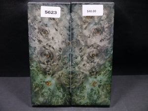 Stabilized Double Dyed Box Elder Scales SW5623