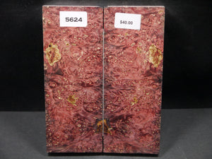 Stabilized Double Dyed Box Elder Scales SW5624