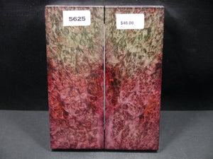Stabilized Double Dyed Box Elder Scales SW5625