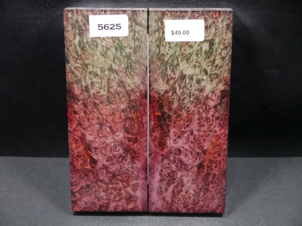Stabilized Double Dyed Box Elder Scales SW5625