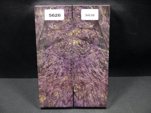 Stabilized Double Dyed Box Elder Scales SW5626