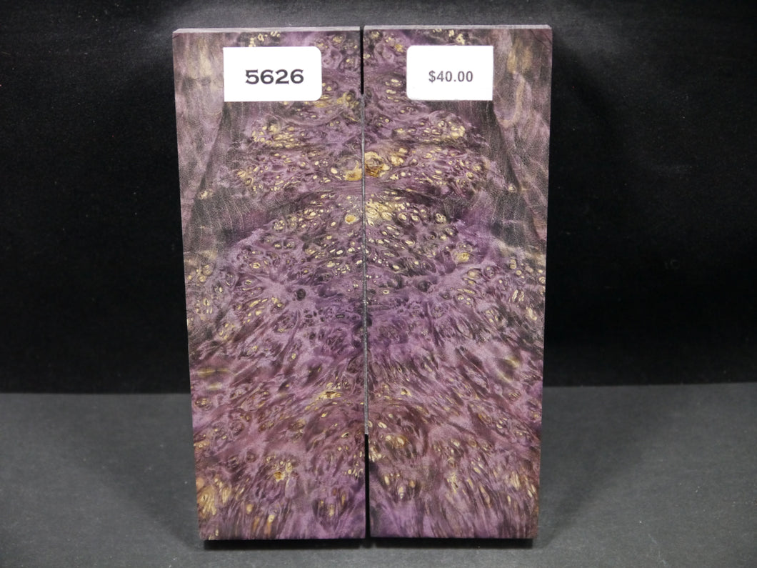 Stabilized Double Dyed Box Elder Scales SW5626