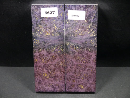 Stabilized Double Dyed Box Elder Scales SW5627