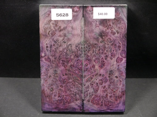 Stabilized Double Dyed Box Elder Scales SW5628