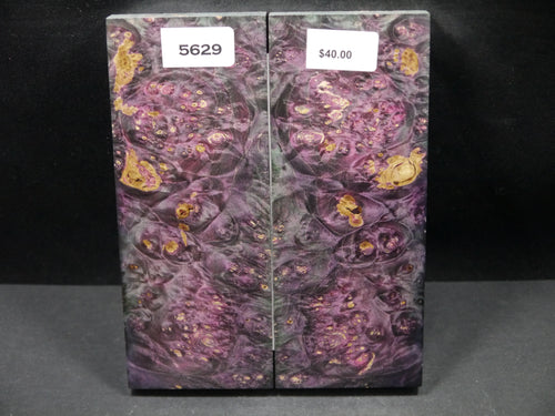 Stabilized Double Dyed Box Elder Scales SW5629