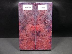 Stabilized Double Dyed Box Elder Scales SW5630