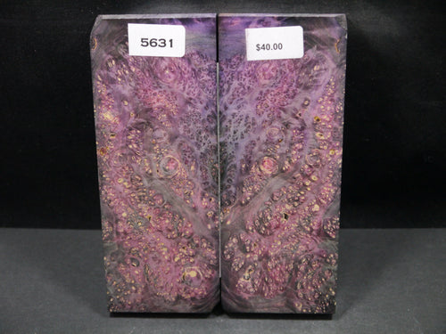 Stabilized Double Dyed Box Elder Scales SW5631