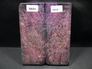 Stabilized Double Dyed Box Elder Scales SW5631