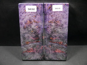 Stabilized Double Dyed Box Elder Scales SW5632