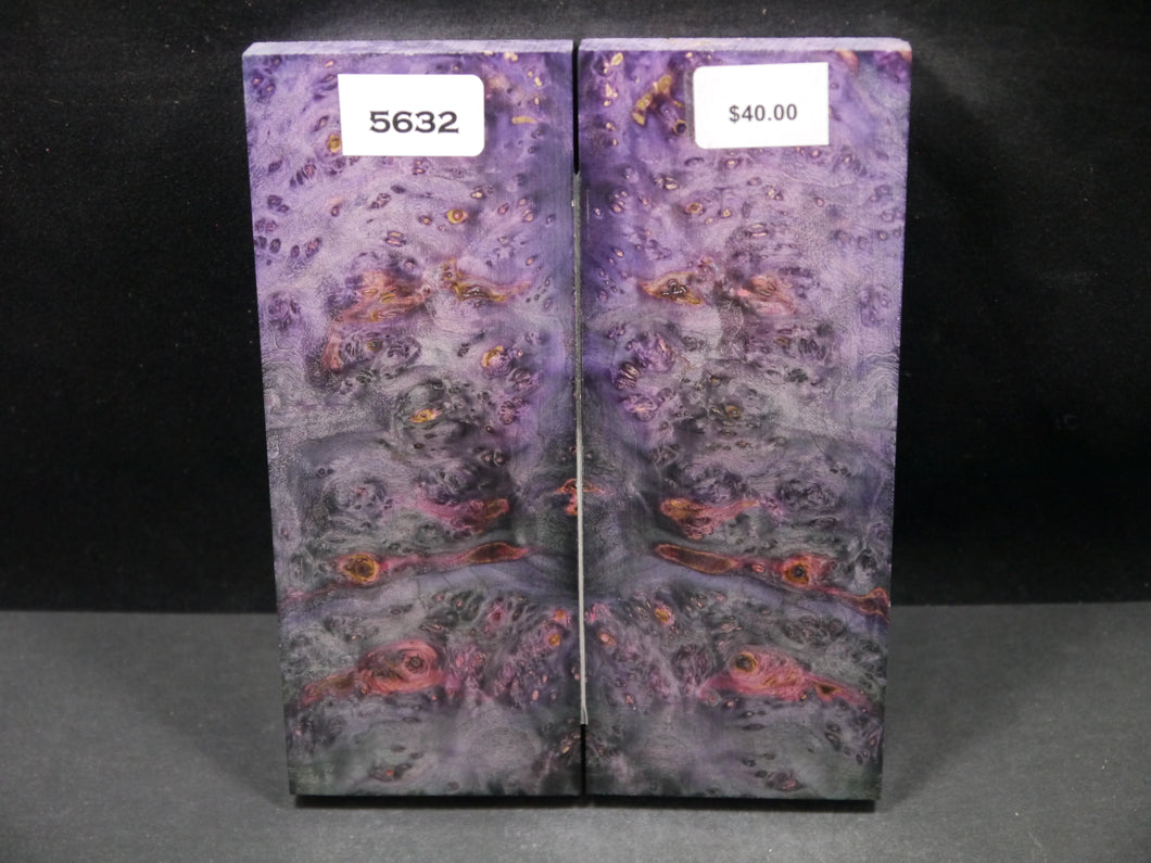 Stabilized Double Dyed Box Elder Scales SW5632