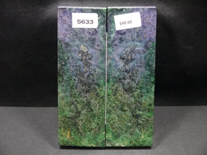 Stabilized Double Dyed Box Elder Scales SW5633