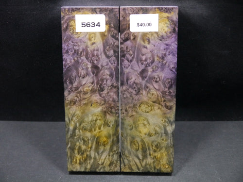 Stabilized Double Dyed Box Elder Scales SW5634