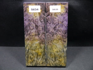 Stabilized Double Dyed Box Elder Scales SW5634