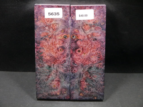 Stabilized Double Dyed Box Elder Scales SW5635