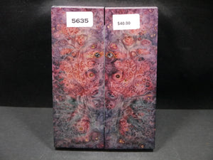 Stabilized Double Dyed Box Elder Scales SW5635
