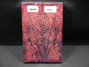 Stabilized Double Dyed Box Elder Scales SW5636