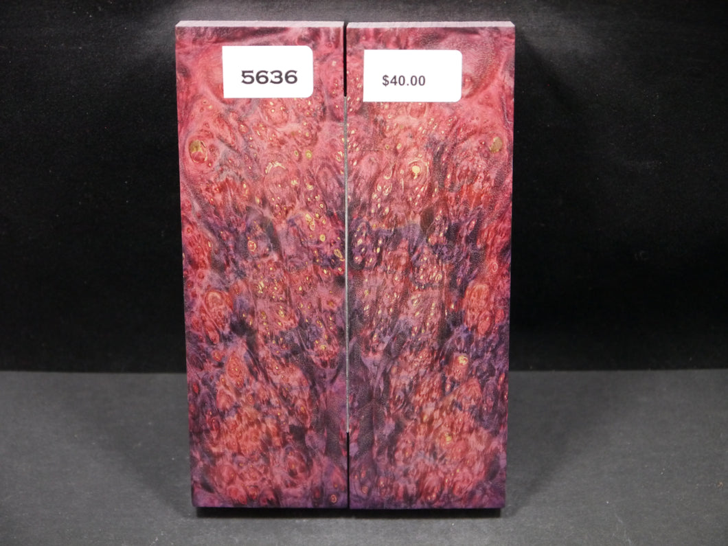 Stabilized Double Dyed Box Elder Scales SW5636
