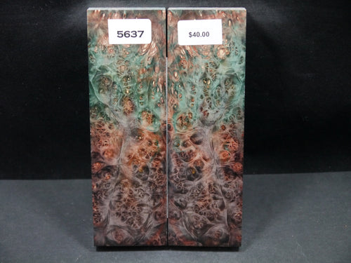 Stabilized Double Dyed Box Elder Scales SW5637
