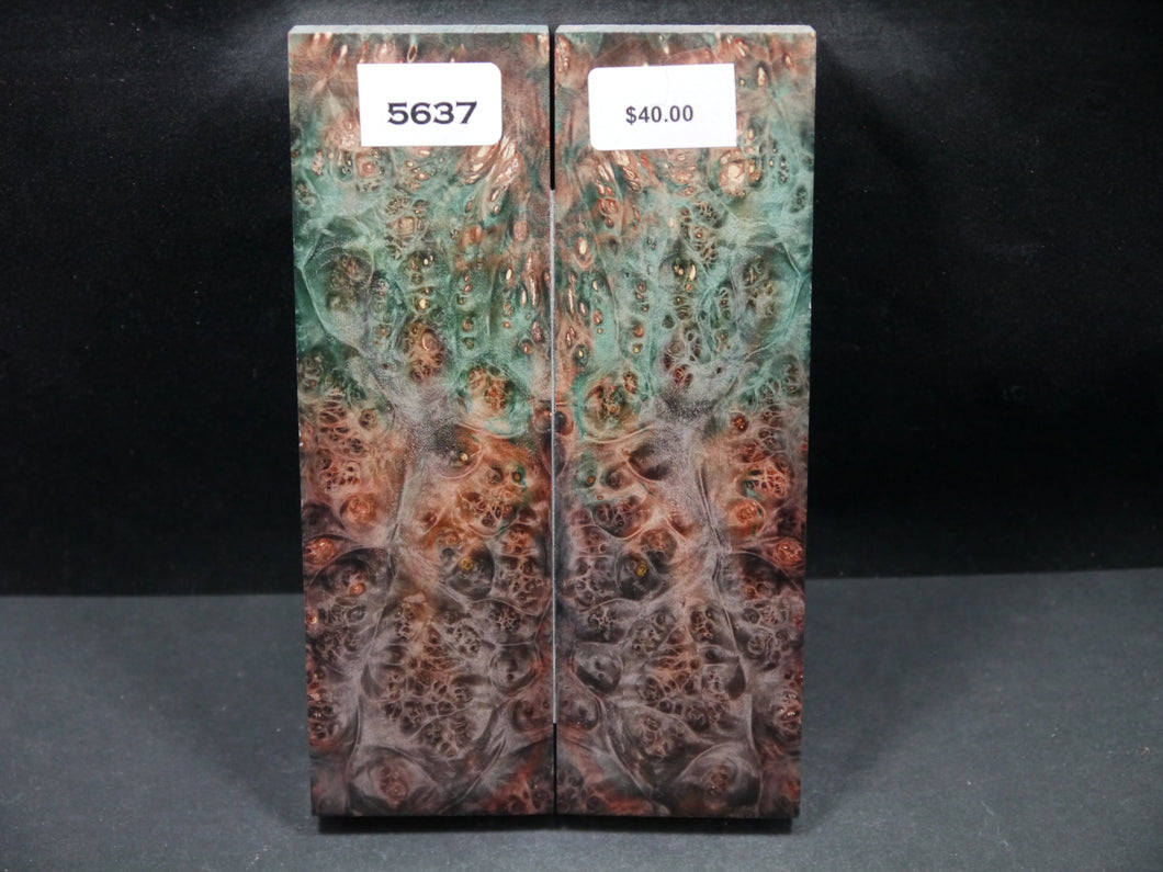 Stabilized Double Dyed Box Elder Scales SW5637