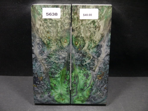 Stabilized Double Dyed Box Elder Scales SW5638