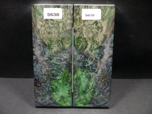 Stabilized Double Dyed Box Elder Scales SW5638