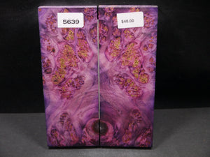 Stabilized Double Dyed Box Elder Scales SW5639