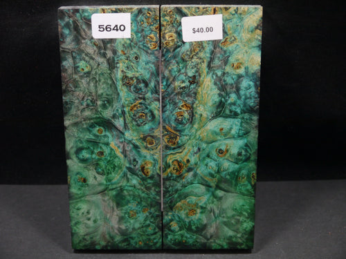 Stabilized Double Dyed Box Elder Scales SW5640