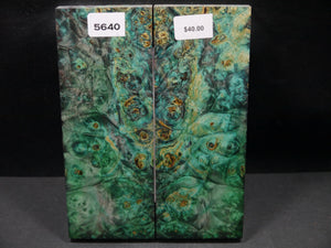 Stabilized Double Dyed Box Elder Scales SW5640