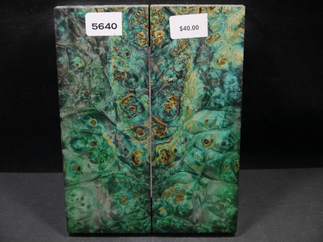 Stabilized Double Dyed Box Elder Scales SW5640