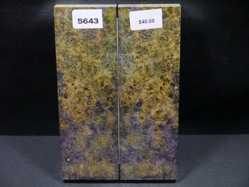 Stabilized Double Dyed Box Elder Scales SW5643