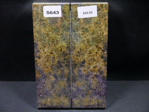 Stabilized Double Dyed Box Elder Scales SW5643