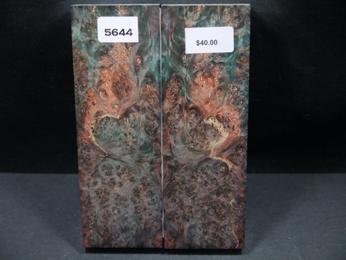 Stabilized Double Dyed Box Elder Scales SW5644