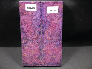 Stabilized Double Dyed Box Elder Scales SW5646