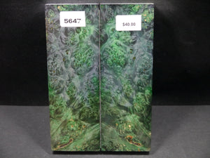 Stabilized Double Dyed Box Elder Scales SW5647