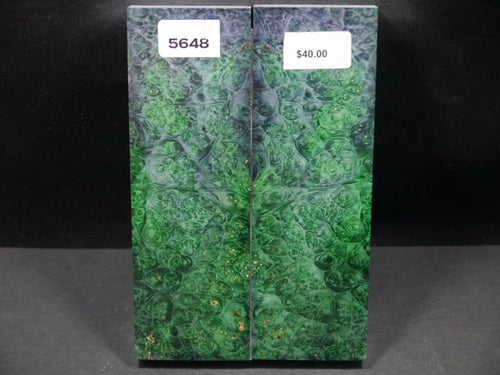Stabilized Double Dyed Box Elder Scales SW5648