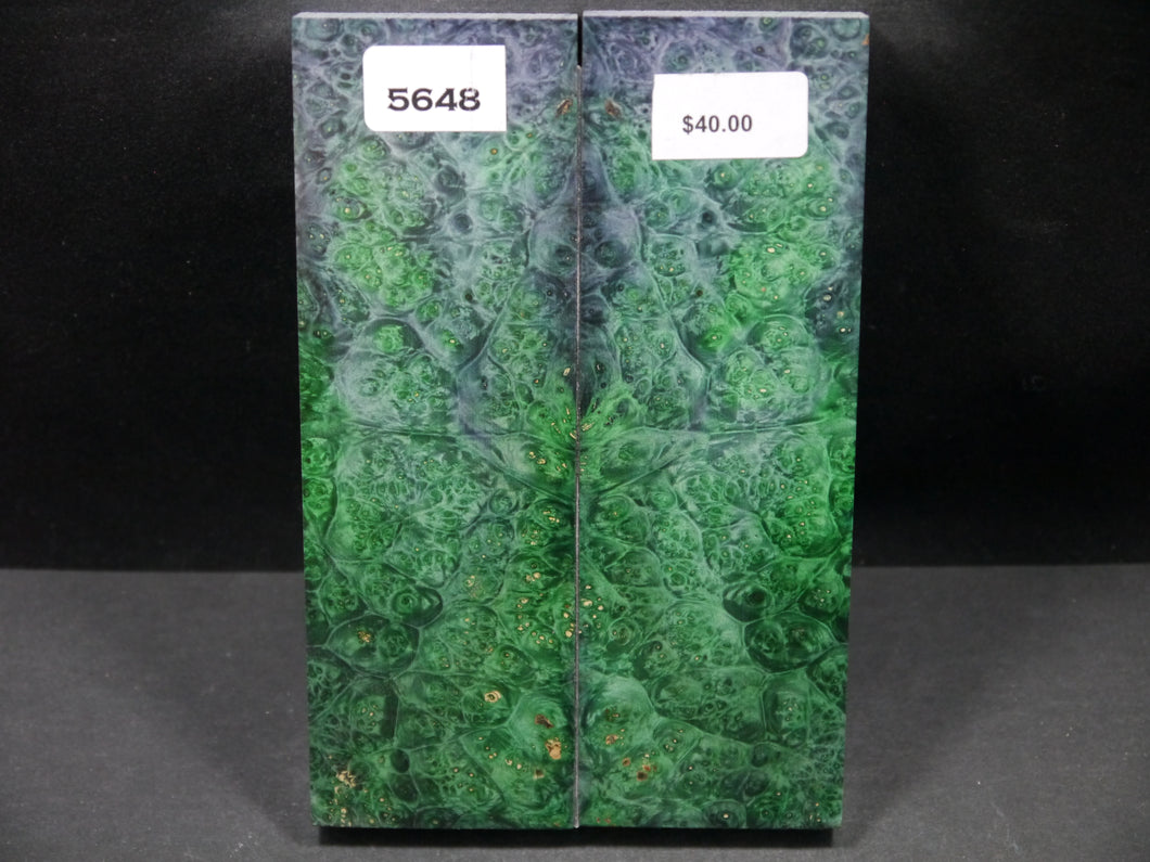 Stabilized Double Dyed Box Elder Scales SW5648