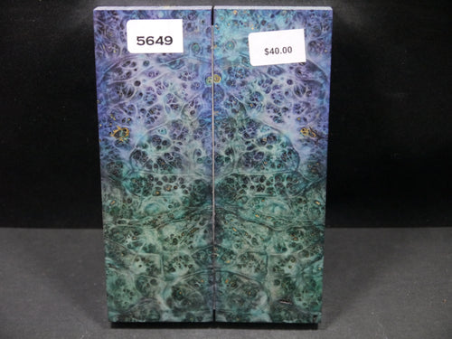 Stabilized Double Dyed Box Elder Scales SW5649