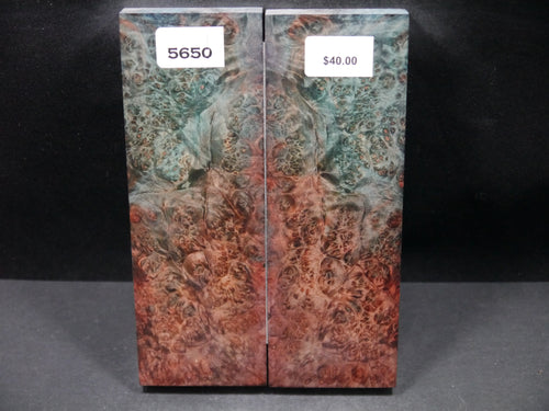Stabilized Double Dyed Box Elder Scales SW5650