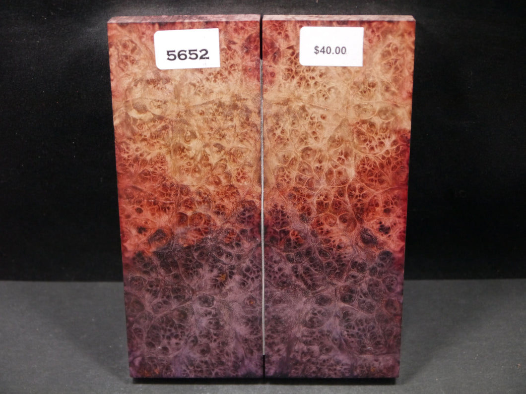Stabilized Double Dyed Box Elder Scales SW5652