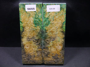 Stabilized Double Dyed Box Elder Scales SW5655